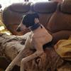 Margaret Allington - @margaret.allingto - TikTok