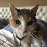 Margaret Andersen - @margaretandersen65 - Instagram