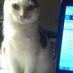 Margaret Appel - @dreamstogo1 - Instagram