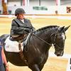 Margaret Lupton - @margaret75paradressage - TikTok