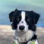 Margaret Artz Harrist - @margaretharrist - Instagram