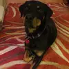Margaret Bacon - @margaret.bacon6 - TikTok