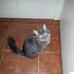 Margaret Bacon - Facebook