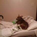 Margaret E Barger - @mbarger_ - Instagram
