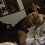Margaret Bartley - @bartley6979 - Instagram