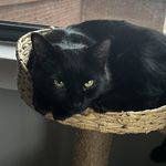 Margaret - @margaret_batty - Instagram