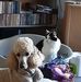 Margaret Batt - Facebook