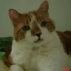 margaretbatt1 - @margaretbatt1 - TikTok