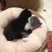 Margaret Bayliss - Facebook