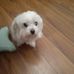 Margaret Behan - Facebook
