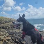 Margaret Behan - @margaret.behan - Instagram