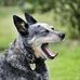 Margaret Benge - Facebook