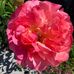 Margaret Bester - Facebook