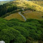 margaret bester - @along_the_road_home - Instagram
