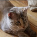 Margaret Beth Craig Eitzen - @margaretbethcraig - Instagram