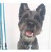 Margaret Bevan - Facebook