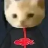 margaret biermann - @viper30i - TikTok