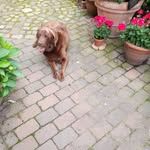 Margarete Biermans - @margaretebiermans - Instagram