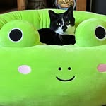 Margaret Bolin - @margaret_bolin - Instagram