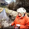 margaretbonnett6 - @margaretbonnett6 - TikTok