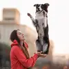 Margaret & border collies - @pet_fest - TikTok