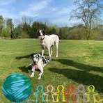 Margaret Bostic - Facebook