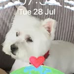Margaret Boyle - @margaretboyle157_ - Instagram