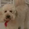 Margaret Boyle - @margaret.boyle4 - TikTok