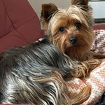 Linda Margaret Brant - @lindabrant5857 - Instagram