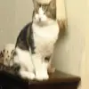 Margaret Butcher - @margaret.butcher8 - TikTok