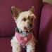 Margaret Breen - Facebook