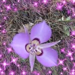 Margaret Bryce - @margaretbryce9 - Instagram