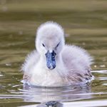 Margaret Bryceland - @brycelandmargaret - Instagram