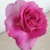 Margaret Defretin Buffa - Facebook