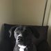 Margaret Buffington - Facebook