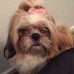 Margaret Buxton - Facebook