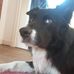Margaret Calder - Facebook