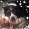 margaretcalder53 - @margaretcalder53 - TikTok