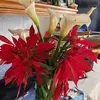 Margaret acabo - @margaret.cano - TikTok