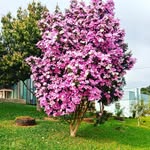 Margarete Vanderlei Casanova - @casanovamargarete - Instagram