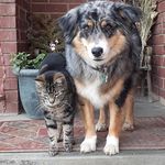 Maggie Huff - @margarett.catron - Instagram