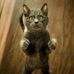 Margarete Cerny - Facebook