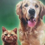 Margaret Chadwick - @hudsonvalleypetfoodpantry - Instagram
