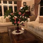 Margaret Chadwick - @chadwick430 - Instagram