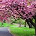 Margaret Champlin - Facebook