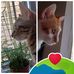 Margaret Cheng - Facebook