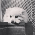Margaret Cheng - @marge_606 - Instagram