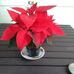 Margaret Ching - Facebook