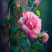 Margaret Velez Ching - Facebook