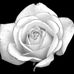 Margaret Clinch - Facebook